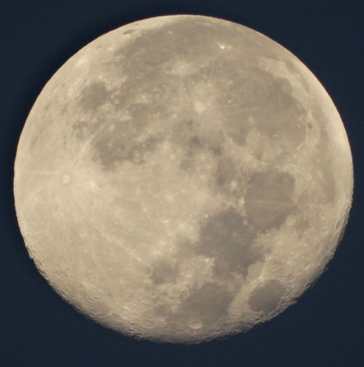 ???????????????????????????????