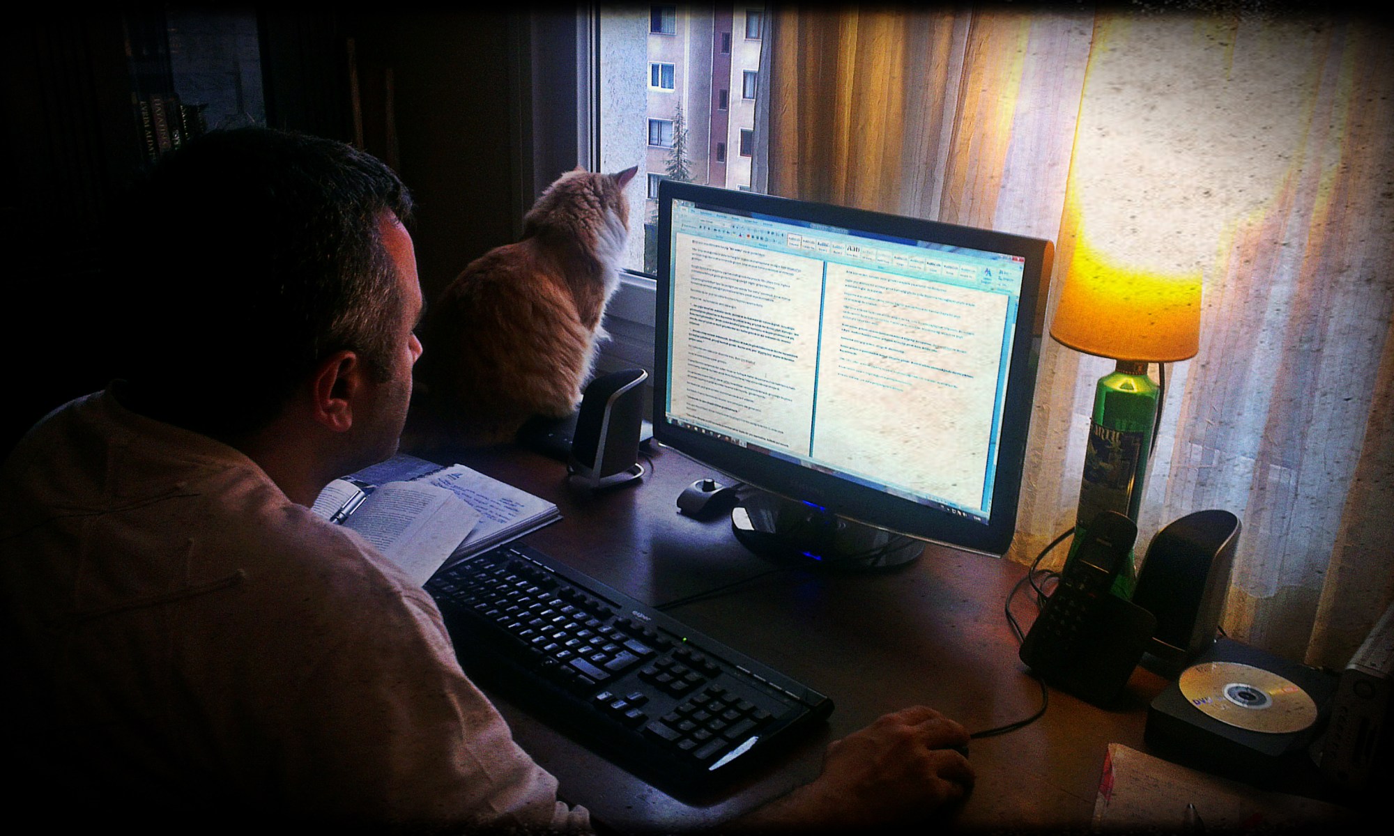 Ben çalışırken, Susan dışarıyı izliyor...