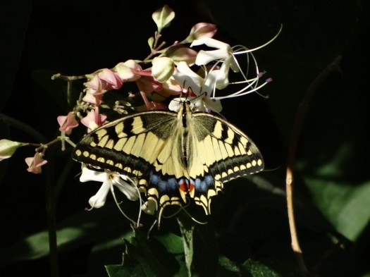 ???????????????????????????????