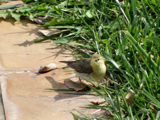 ???????????????????????????????