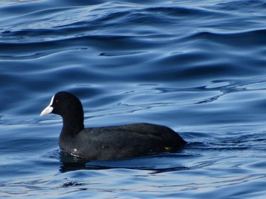 ???????????????????????????????