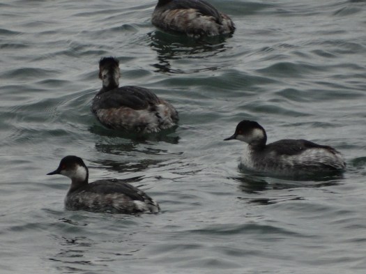 ???????????????????????????????