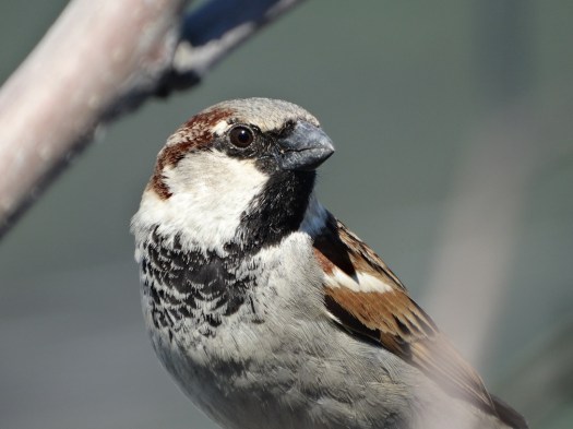 ???????????????????????????????