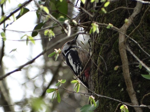 ???????????????????????????????