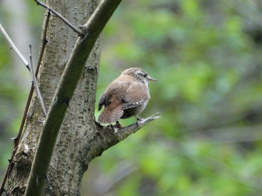 ???????????????????????????????