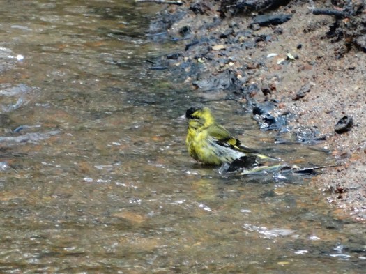 ???????????????????????????????