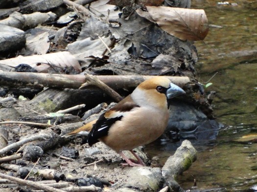 ???????????????????????????????