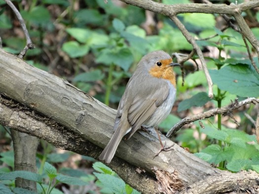 ???????????????????????????????