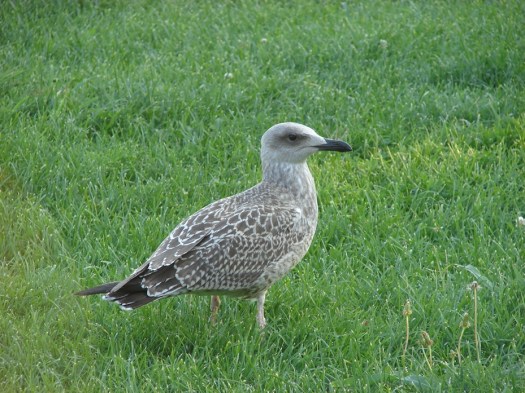 ???????????????????????????????